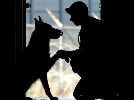 ಎನ್‌ಜಿಓ: