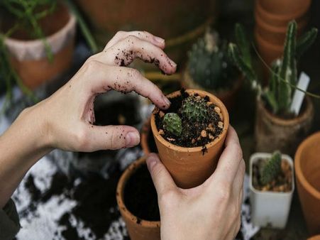 ಪರಿಸರಶಾಸ್ತ್ರಜ್ಞ