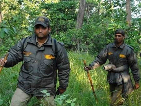 5. ಫಾರೆಸ್ಟ್ ರೇಂಜರ್ :