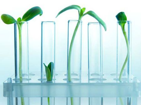 கலை அறிவியல் படிப்பிற்கு கட் ஆப் அதிகரிப்பு 