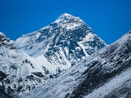 5. மலைகாடுகள் இந்தியாவில் எங்கு காணப்படுகின்றன?