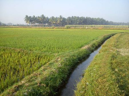 பிரதான் மந்திரி ஃபசல் பீமா யோஜ்னா :