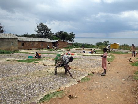 ஒருங்கிணைக்கப்பட்ட ஊரக வளர்ச்சி திட்டம்: