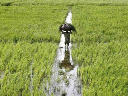 9. மேரா கவுன் மேரா காரவ் என்பது  எதனை குறிக்கின்றது?