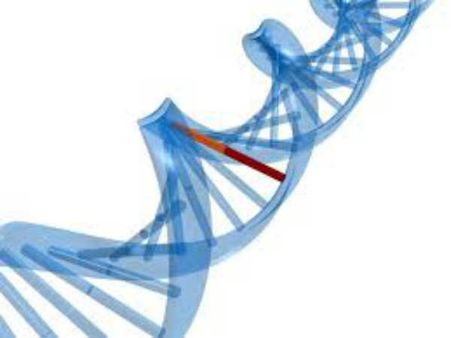 4. ஒரு தலைமுறையிலிருந்து அடுத்த தலைமுறைக்கு பண்புகளை கடத்தப்படுதல் என்பது  பாரம்பரியம் பாரம்பரியக் கடத்துதலை முதன் முதலில் வெளியிட்டவர் யார் ?