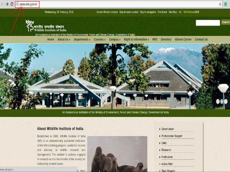 அதிகாரப்பூர்வ தளம்: