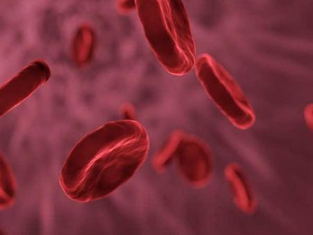 5. ரத்த அணுக்களில் மிகச்சிறியது? 