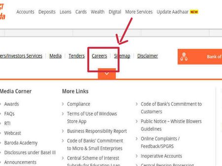 கேரியர் பகுதி: