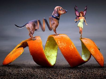 4.அனிமேஷன் & கிராபிக்ஸ்