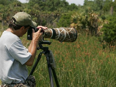 வனவிலங்கு புகைப்படம்: