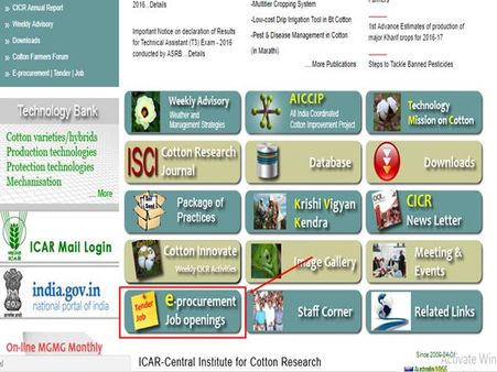 2. அறிவிப்பு லிங்க்: