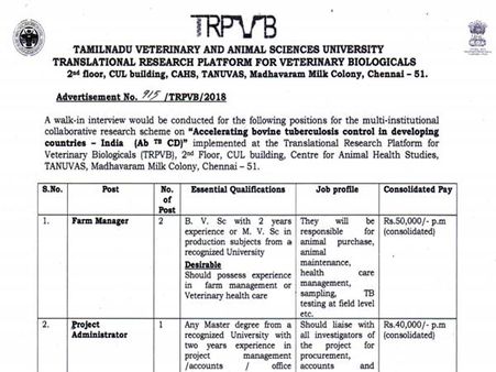 4. நேர்முகத் தேர்வு: