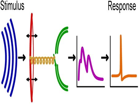 சத்தம் (ஒலி) எதன் ஊடாக பரவாது ?