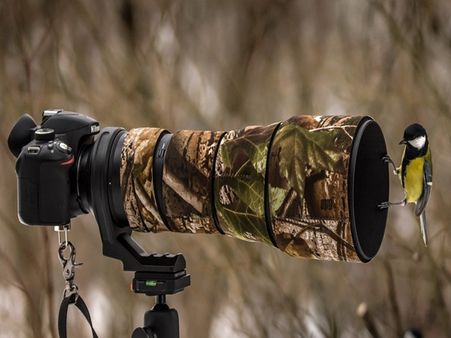 விலங்கியல் புகைப்படக் கலைஞர்