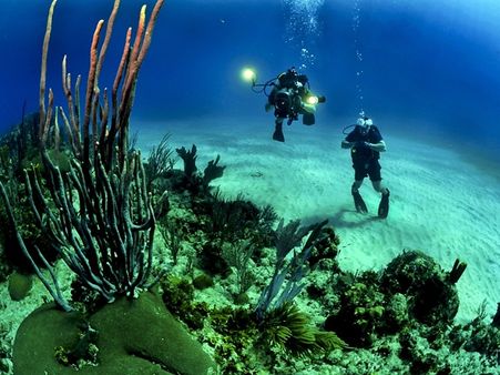 பிஸிகல் ஓஷனோகிராபி: 