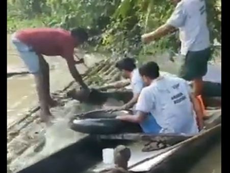 பழங்குடி பணியாளர்கள்