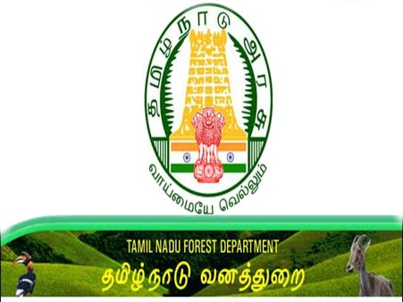 தமிழ்நாடு வனத்துறை: