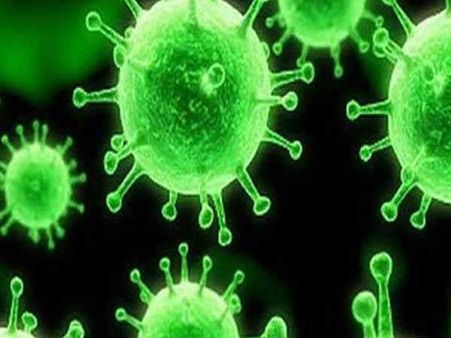 சுகாதாரத்தை உறுதி செய்ய வேண்டும்