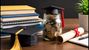 UP Minority Pre-Matric Scholarship 2026: How Students Can Apply and Secure Financial Aid