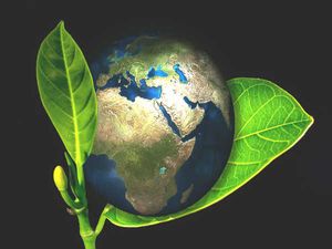 प्रकृति से जुड़ा करियर 'एनवायर्नमेंटल साइंस'