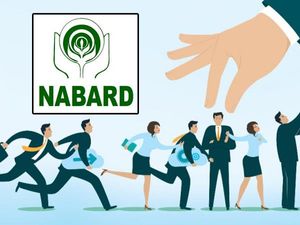 NABARD Result 2021 Check Link: नाबार्ड ग्रेड ए बी असिस्टेंट मैनेजर रिजल्ट 2021 कब आएगा जानिए