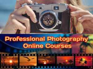 Professional Photography Online Courses: प्रोफेशनल फोटोग्राफर ऑनलाइन कोर्स की पूरी जानकारी