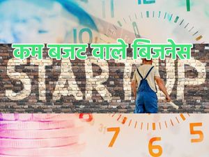 Top 20 Startup Ideas In India: मात्र 20 हजार में शुरू करें अपना बिजनेस, कमाई होगी लाखों में