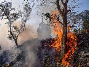  पर्यावरण पर जलावायु परिर्वतन का प्रभाव- World Environment day 2022