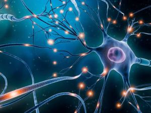 एमओटी न्यूरोसाइंस में करियर (Career in MOT Neurosciences After Graduation)