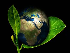 सर्टिफिकेट इन एनवायरमेंटल स्टडीज (Certificate in Environmental Studies After 12th) 