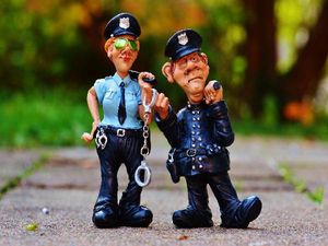 डिप्लोमा इन पुलिस एडमिनिस्ट्रेशन में करियर (career in Diploma in Police Administration)