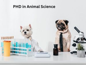 एनिमल साइंस में पीएचडी कैसे करें (Career in PHD Animal Science)