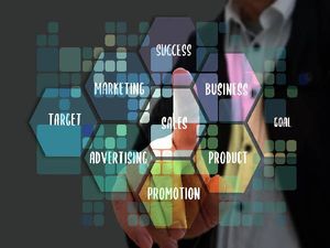 डिप्लोमा इन बिजनेस एडमिनिस्ट्रेशन (Diploma in  Business Administration After 12th)