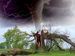 पोस्ट ग्रेजुएट डिप्लोमा इन डिजास्टर मैनेजमेंट में करियर (Career in PG Diploma in Disaster Management)