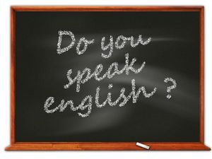 सर्टिफिकेट इन फंक्शनल इंग्लिश (Certificate in Functional English After 12th)