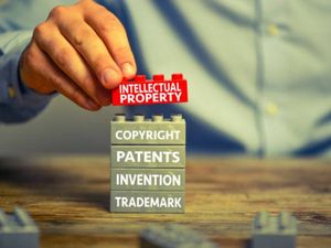 पोस्ट ग्रेजुएट डिप्लोमा इन इंटेलेक्चुअल प्रॉपर्टी राइट्स (PG Diploma in Intellectual Property Rights)