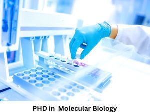 मॉलिक्यूलर बायोलॉजी में पीएचडी कैसे करें (Career in PHD Molecular Biology)