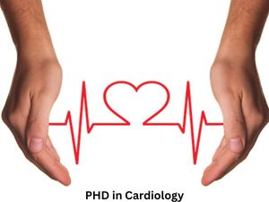 कार्डियोलॉजी में पीएचडी कैसे करें (Career in PHD Cardiology)
