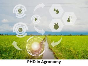 एग्रोनॉमी में पीएचडी कैसे करें (Career in PHD in Agronomy)