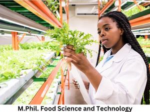 फूड साइंस एंड टेक्नोलॉजी में एम.फिल. कैसे करें (Career in M.Phil. Food Science and Technology)