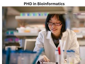 बायोइंफॉर्मेटिक्स में पीएचडी कैसे करें (Career in PHD Bioinformatics)