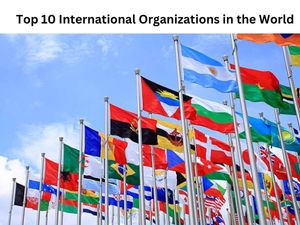ये हैं दुनिया के 10 सर्वश्रेष्ठ अंतर्राष्ट्रीय संगठन (Top 10 International Organizations in the World)