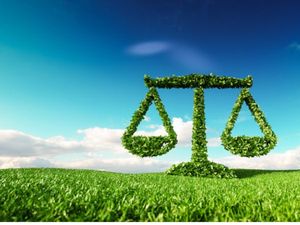 Career in LLM Environmental Law 2023: एलएलएम एनवायरमेंटल लॉ में कैसे बनाएं करियर