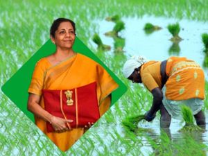 Agriculture Budget 2023: कृषि बजट में किसानों को क्या मिलेगा जानिए