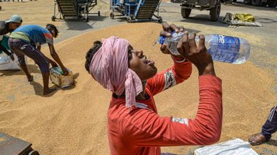हीटवेव का प्रभाव: भारत के 90 प्रतिशत क्षेत्र डेंजर जोन में, रोक सकता है भारत का सतत विकास का लक्ष्य