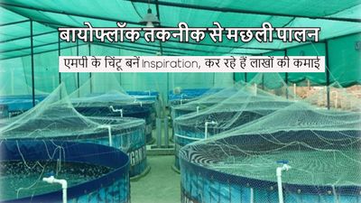 Inspiration: बायोफ्लॉक तकनीक से मछली पालन से 10 गुना बढ़ी चिंटू की आमदनी, इंप्रेस हुईं कलेक्टर
