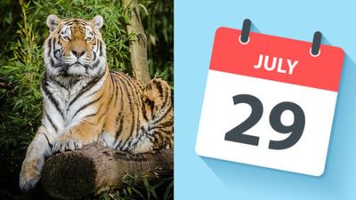 29 जुलाई से जुड़ा भारतीय इतिहास (History of 29 July)
