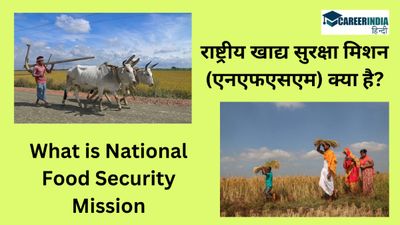 What is National Food Security Mission in Hindi: केंद्र सरकार लागू कर रही है राष्ट्रीय खाद्य सुरक्षा मिशन