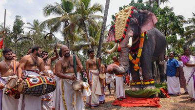 World Elephant Day 2024: 12 अगस्त को क्यों मनाया जाता है विश्व हाथी दिवस, जानिए इस दिन का इतिहास