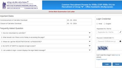 IBPS RRB क्लर्क मेन्स 2024 एडमिट कार्ड हुए जारी, ibps.in से करें डाउनलोड